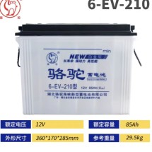 6-EV-240型12V120AH中心