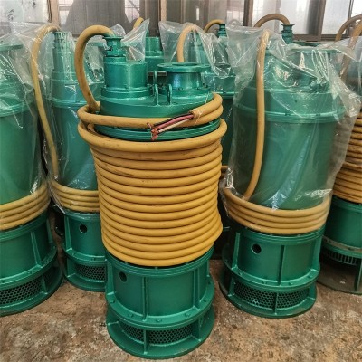 齐鲁邦泰BQS15-25-3/B矿用隔爆型排污排沙潜水电泵图4