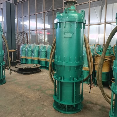 齐鲁邦泰BQS15-25-3/B矿用隔爆型排污排沙潜水电泵图2