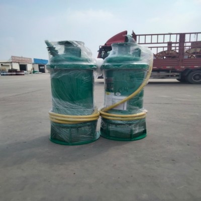 齐鲁邦泰BQS15-25-3/B矿用隔爆型排污排沙潜水电泵图5
