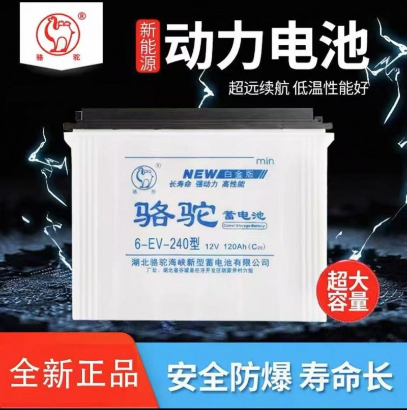 6-EV-240型12V120AH销售