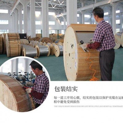 全国无金属24芯ADSS光缆厂家定制直发AT护套PE护套光缆施工用什么设备